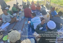 Kementan Dorong Petani Tanam Padi Hibrida