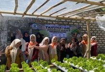 Eco Learning School Kenalkan Hidroponik Ramah Lingkungan