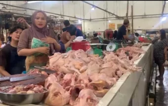 Harga Ayam Potong Naik di Pasar Kite Sungailiat