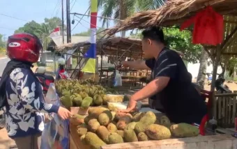 Cempedak Laris Manis, Pedagang Jual 300 Buah Sehari