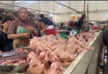 Harga Ayam Potong Naik di Pasar Kite Sungailiat