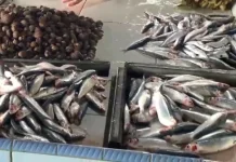 Gelombang Tinggi, Harga Ikan di Pasar Higienis Naik Rp5-Rp15 ribu perkg