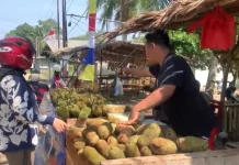Cempedak Laris Manis, Pedagang Jual 300 Buah Sehari