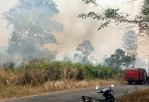 Tim Damkar Kabupaten Bangka Memadamkan Api Karhutlah di Kawasan Kembujan