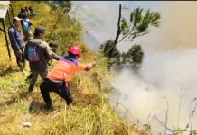 Tim BPBD Jatim bersama BNPB Berupaya Padamkan Api di Kawasan Bromo