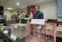 Balai Karantina Jatim Gagalkan Dua Kasus Penyelundupan Hewan