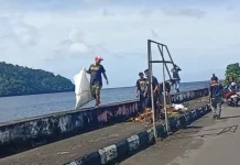 Peringatan HUT ke 76,  Damkar dan Satpol PP Gelar Kerja Bhakti Bersama