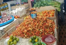Harga Barito Meroket di Hari Besar Keagamaan
