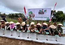 Penanaman Bibit Cabai di Lenganeng Jadi Bagian Kunker Kejati Sulut