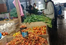 Harga Cabai Rawit di Tahuna Cenderung Naik