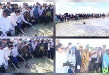 Festival Mane’e di Pulau Intata Dongkrak Potensi Wisata Budaya Bahari