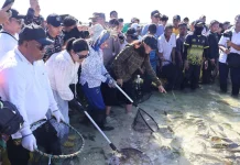 Merasapi Magis Festival Manee 2026 di Bibir Pasifik