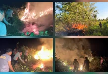 Kapolsek Beo Pimpin Pemadaman Kebakaran Lahan Perkebunan di Bantik