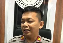 Satlantas Selidiki Laka Truk-NMax di Gunung Selatan, 1 Tewas