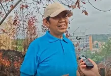 Pengamat Soroti Lemahnya Pencegahan, BPBD Ajak Warga Peduli Lingkungan