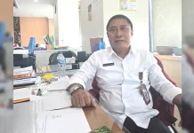 70 Persen Pasokan Telur di Kaltara Bergantung dari Luar Daerah
