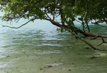 Pantai Difur Tempat Menghabiskan Libur Wisatawan Lokal