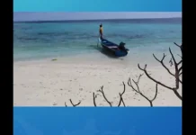 Olahan Kerang Laut Menjadi MPASI di Pesisir Maluku Tenggara