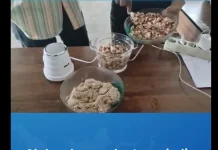 Poltekkes Kemenkes Maluku Dampingi Olahan MPASI Kerang Laut di Maluku Tenggara