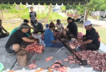 DKM Darul Islam Bagikan Hewan Kurban ke 200 Kepala Keluarga
