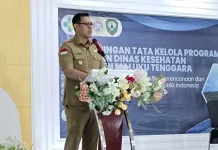 Perencanaan Kesehatan Berbasis Data Jadi Fokus Maluku Tenggara