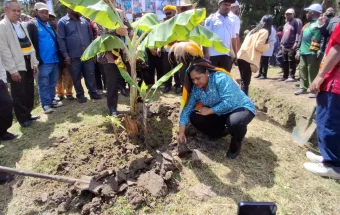 Pemkab Jayawijaya Tanam Pohon di Yalengga Dorong Pangan Lokal Berkelanjutan