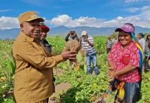 Wabup Jayawijaya Ajak Masyarakat Pertahankan Pangan Lokal "Hipere"