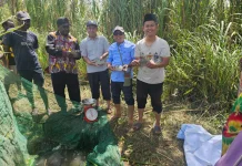 Kampung Zakat Dorong Ekonomi Umat di Jayawijaya lewat Budidaya Ikan Nila