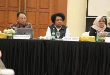 DLHKP Beberkan Strategi Menuju FOLU Net Sink 2030 di Papua Pegunungan