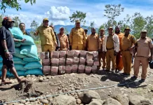 Pemkab Jayawijaya Serahkan Bantuan bagi Dua Kelompok Warga yang Bertikai