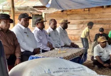 Pemkab Jayawijaya Kembali Bantu Korban Konflik yang ada di Walelagama dan Maima