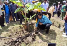 Pemkab Jayawijaya Tanam Pohon di Yalengga Dorong Pangan Lokal Berkelanjutan