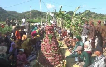 Kirab Budaya dan Gunungan Meriahkan Wiwitan Panen Bawang Merah Nawungan