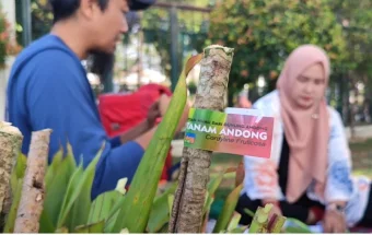 Pesan Hijau dari Gunung Andong