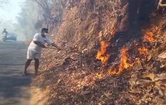 Hutan Jati di Selopamioro Terbakar, Asap Tebal Ganggu Pengguna Jalan