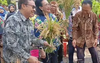 Panen Padi Perdana dari Galon di Kota Yogyakarta