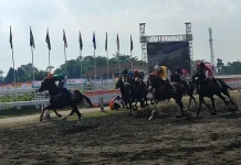 Di Tengah Terik Matahari, 155 Kuda Beradu Kecepatan di IHR Piala Paku Alam 2026