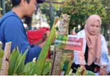 Pesan Hijau dari Gunung Andong