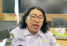 IDI Papua Turun, Berdampak pada Kinerja dan Investasi
