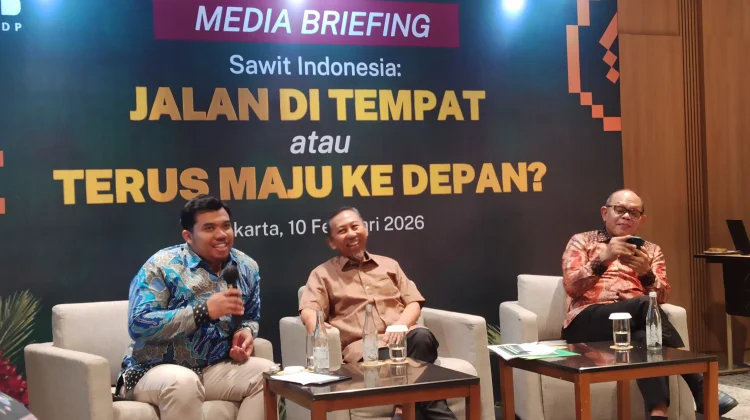 BPDP Kejar Target Produktivitas Sawit Tanpa Perluas Lahan