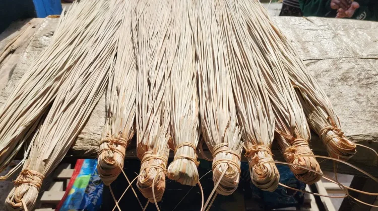 Pandoki dan Tembakau Negeri Warisan Budaya Asli Fakfak