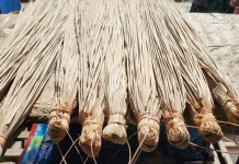 Pandoki dan Tembakau Negeri Warisan Budaya Asli Fakfak