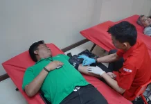 PLN UID Sumut Gelar Donor-Darah dan Mini MCU