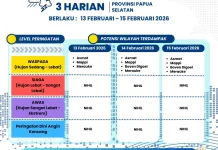 Update Peringatan Dini Cuaca 3 Harian Papsel