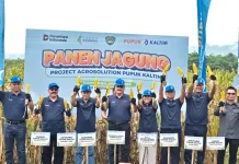 Optimalkan Produktivitas Pertanian, Agrosolution Pupuk Kaltim Dongkrak