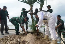 Dukung Pelestarian Alam, Pantai Sepanjang Ditanami Pohon
