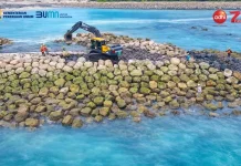 Japan Continues Bali Beach Conservation with IDR 1.08 Trillion Funding