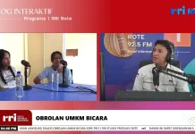 Jasa Sewa Rote Jawab Kebutuhan Nyata Rekreasi