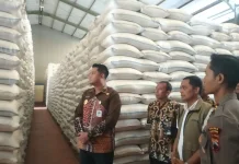 Bupati Klaten Cek Kebutuhan Harga dan Cadangan Beras