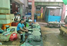 Segini Harga Udang di Pasar Wamanggu Merauke